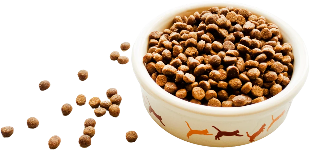 Alimento balanceado para gatos