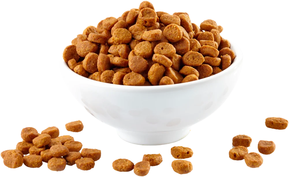 Alimento balanceado para perros
